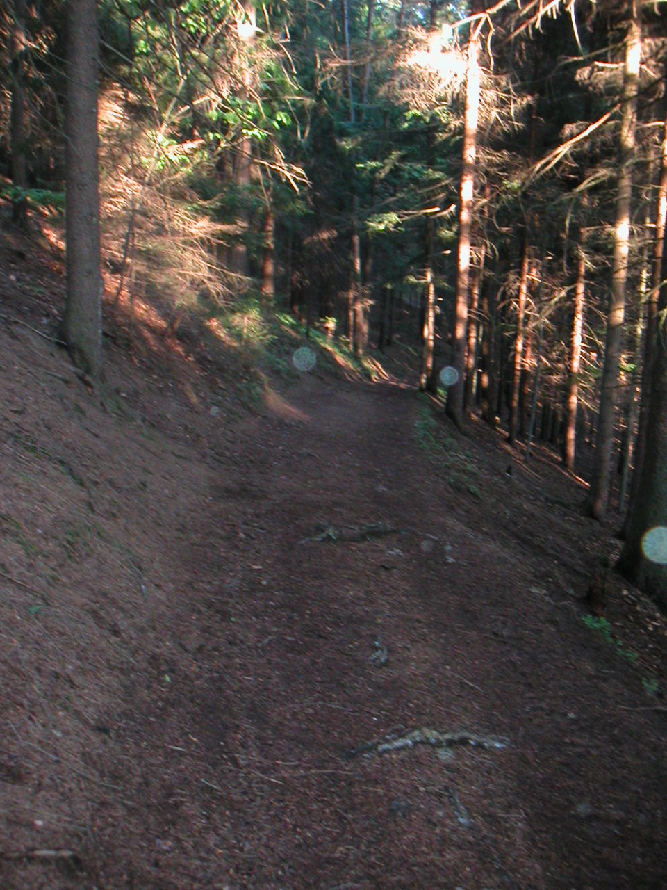 PICT0004.JPG