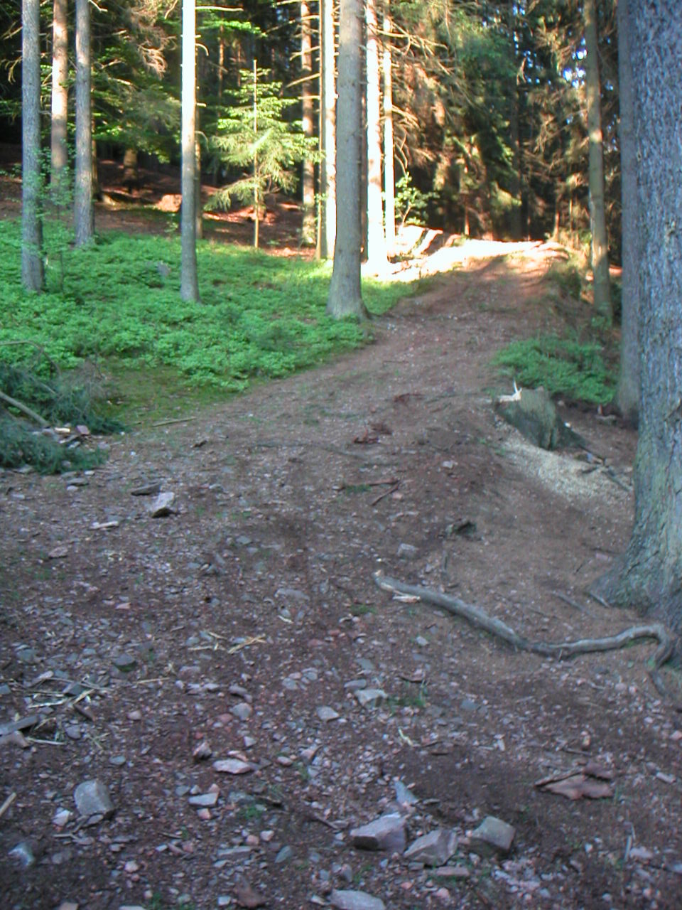 PICT0007.JPG