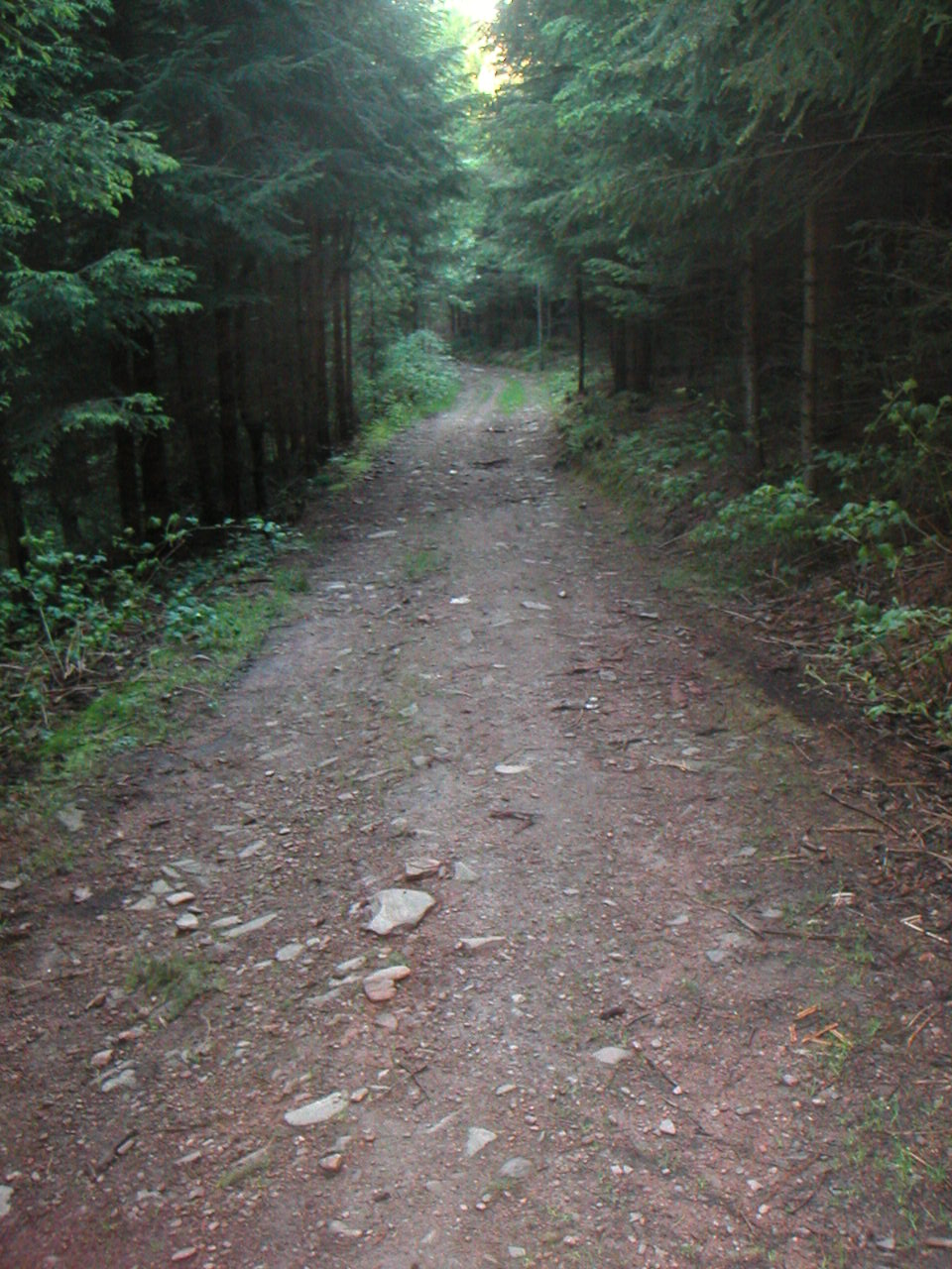 PICT0008.JPG