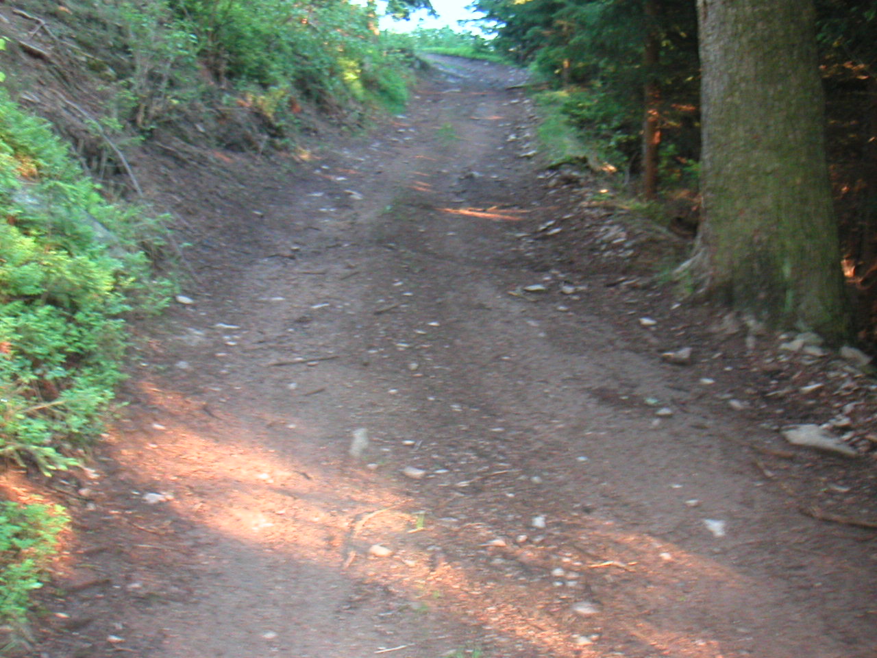 PICT0010.JPG