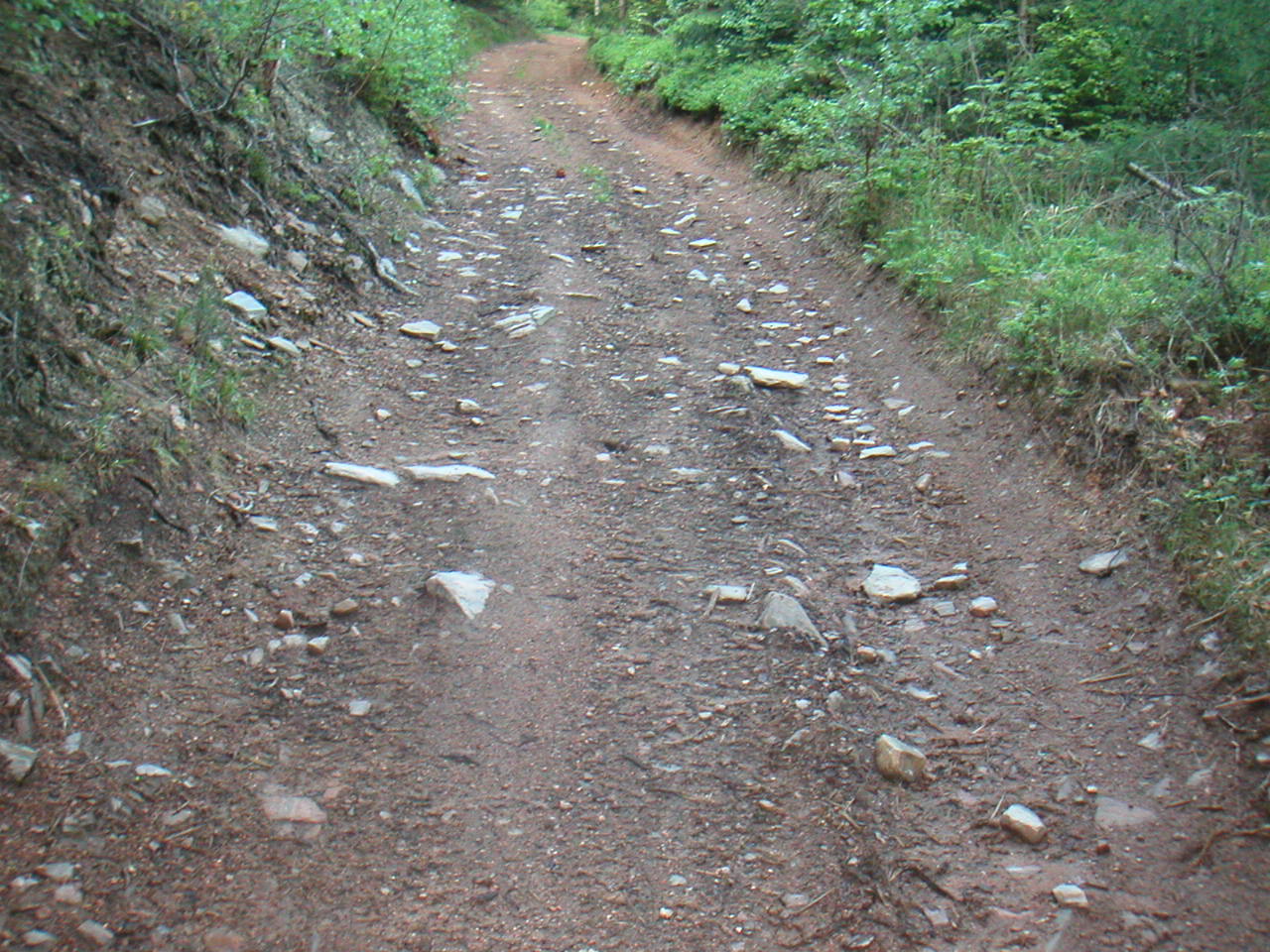 PICT0012.JPG