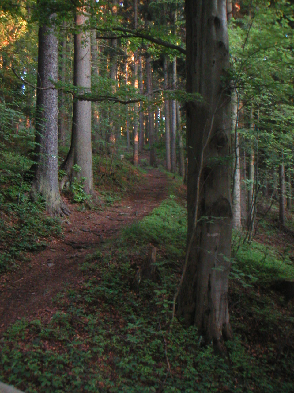 PICT0017.JPG
