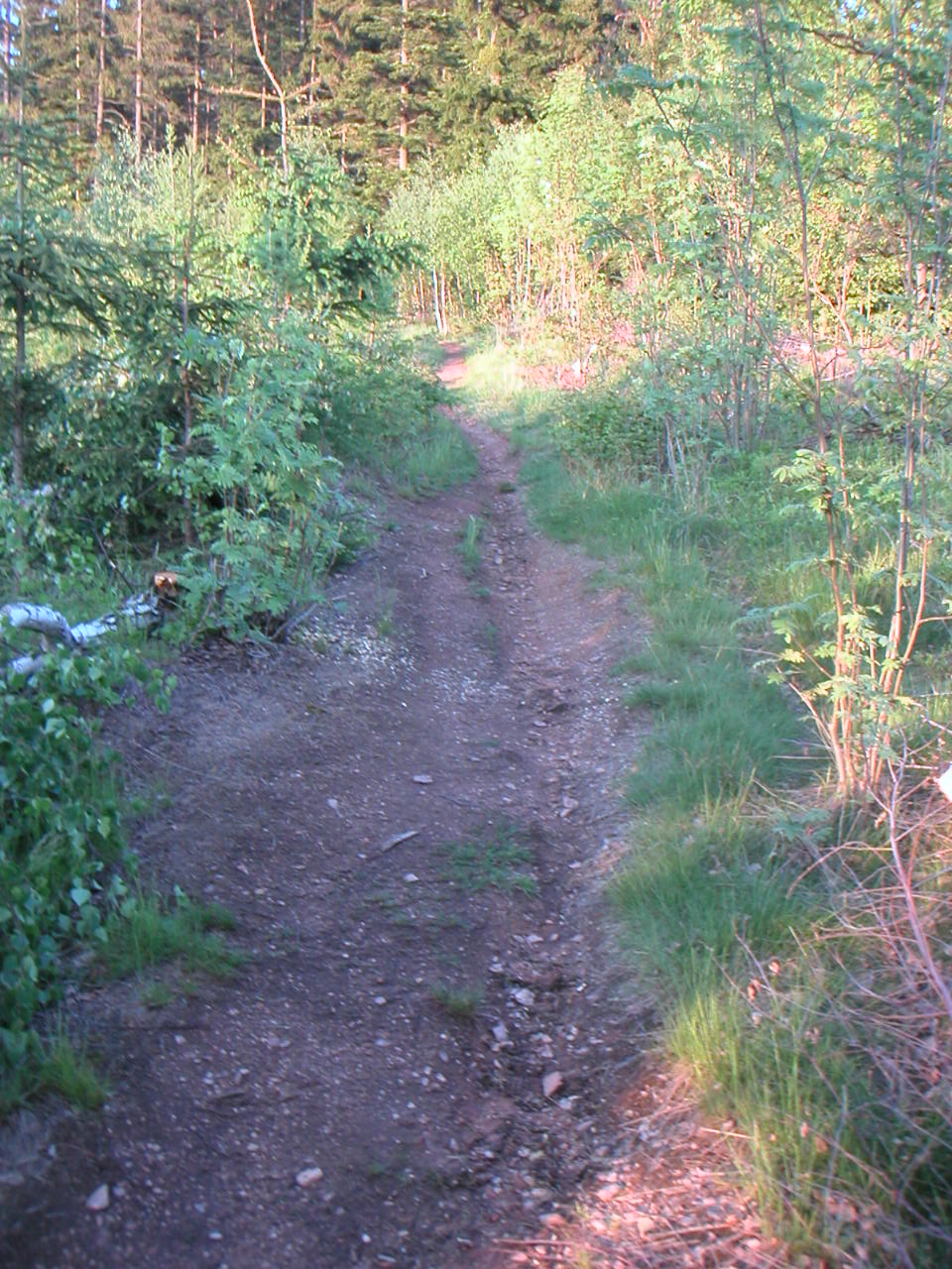 PICT0019.JPG