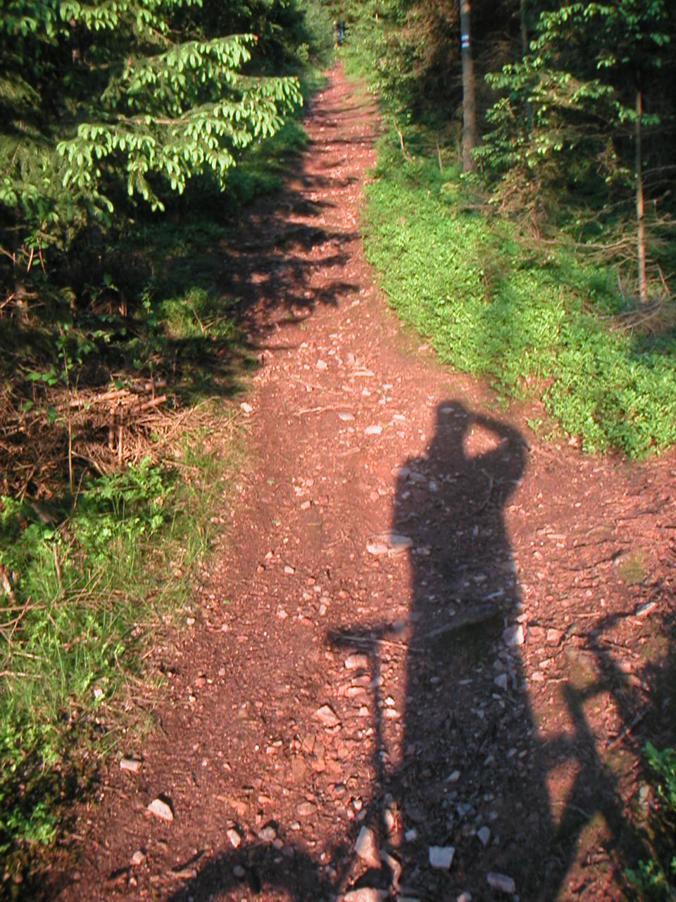 PICT0020.JPG